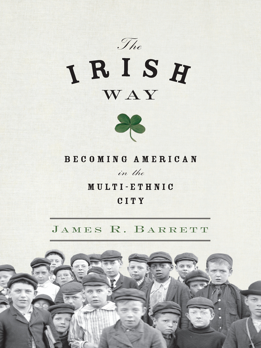 Cover image for The Irish Way